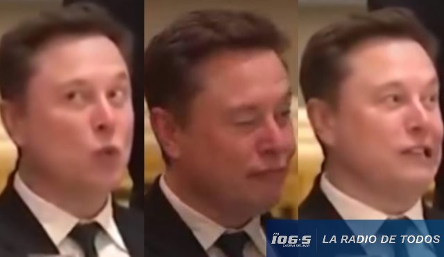 gestos elon musk
