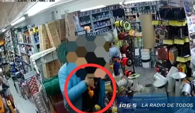 Hurto (Maldonado): un hombre robó una sierra eléctrica de una ferretería en la zona de Avenida Lussich.