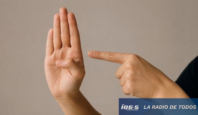 Lengua Señas