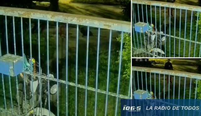 Ola de robos Maldonado nuevo 