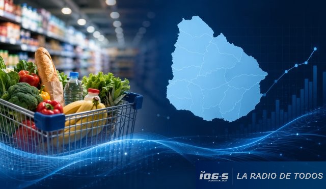 Maldonado lidera crecimiento comercial (interior): ventas aumentaron 4% en primer cuatrimestre.