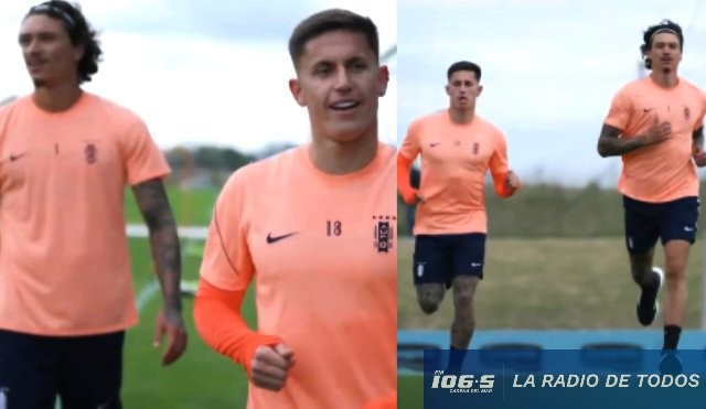 Darwin entrenando