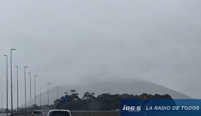 niebla