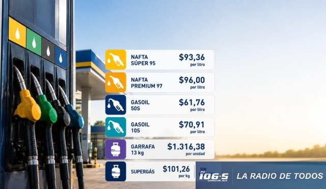 Combustibles junio 