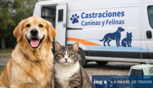 Maldonado: confirman las fechas y los requisitos para las castraciones gratuitas de perros y gatos durante junio.