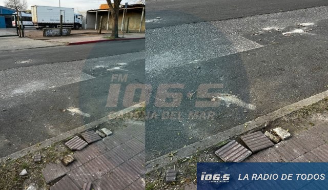 Destrozos en vía pública (denuncia): vecinos del Liceo 5 exponen roturas y falta de inspectores en la avenida.