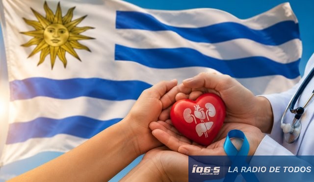 Día paciente transplantado