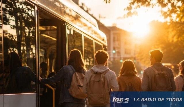 carnet discapacidad