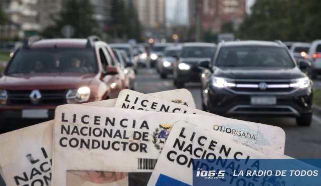Tránsito (Maldonado): Dirección de Licencias de Conducir superó los 900 trámites una semana.
