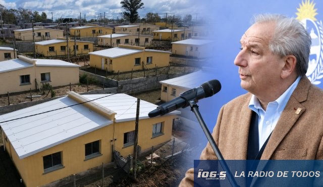 Lussich Eucaliptos