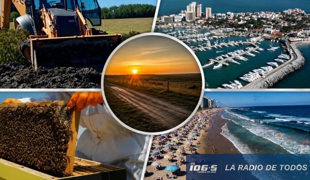 Récord Empresarial Uruguayo (Maldonado): 78,15 firmas cada mil habitantes con 85,82 % de microempresas.