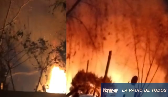 Incendio los eucaliptos 