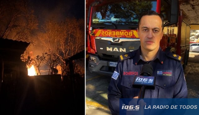 Alejandro Moraes (Bomberos): “La rápida respuesta evitó que el incendio en Los Eucaliptus se propagara a otras viviendas”.