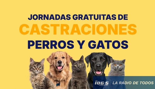 Castraciones