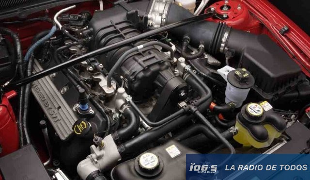 Motor