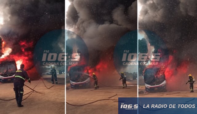 Incendio ruta 39