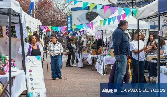 "Mercado Central" (Plaza San Fernando): el tradicional paseo vuelve este sábado con varias propuestas.