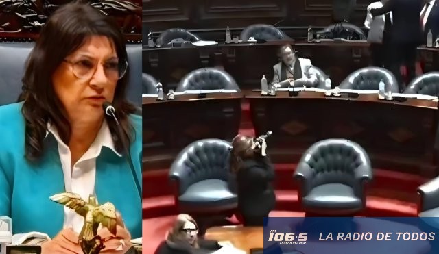 Blanca Rodríguez (Senado): 