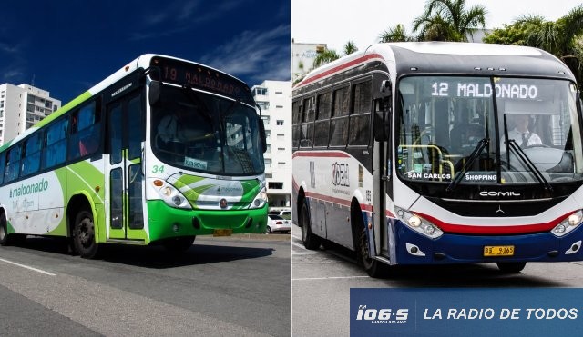 Feriado (18 de Julio): Así funcionarán los ómnibus en Maldonado.