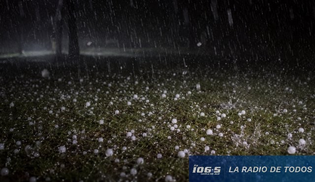 Granizo Flores 
