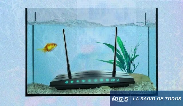 wifi lento 1 