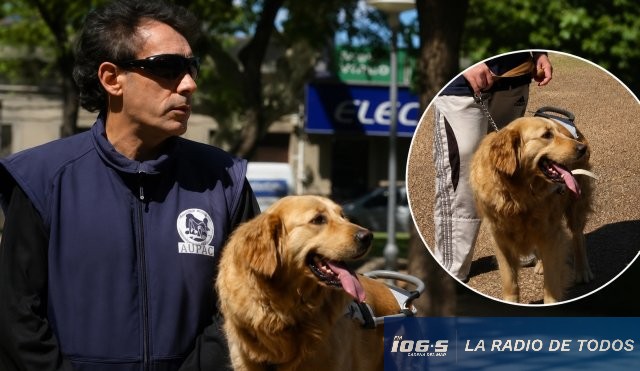 Perro guía Alfredo 