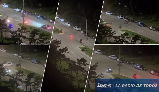 Picadas desórdenes 