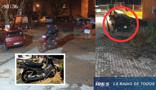 Maldonado: cámaras de seguridad registraron el robo de un birrodado en el Complejo B9.