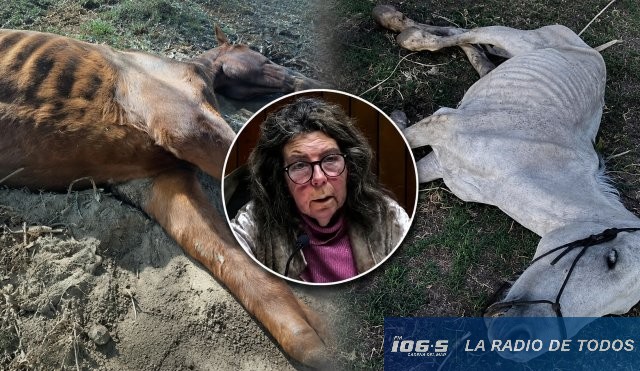 Rita Colombo y animales 