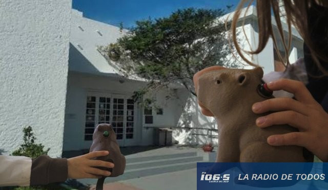 Ing. Alejandro Benítez (Telúrica): 