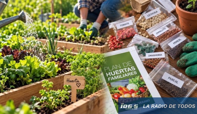 semillas entrega 9