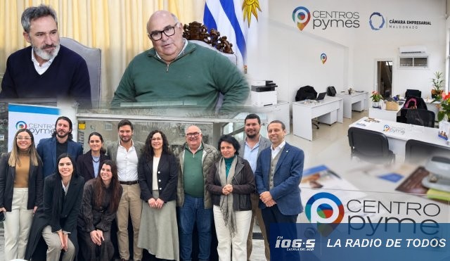 desarrollo pyme