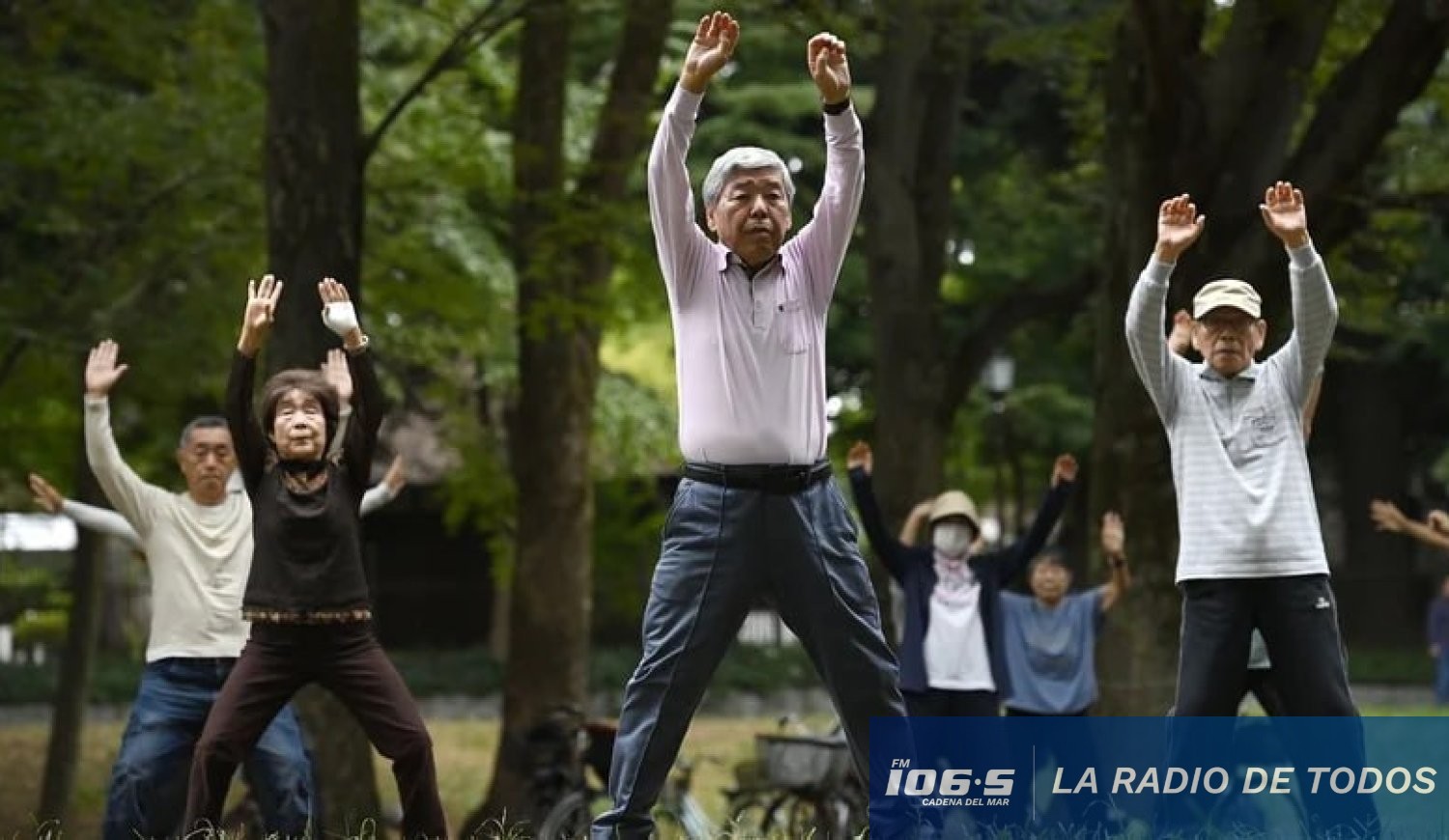 Histórico (Japón):
