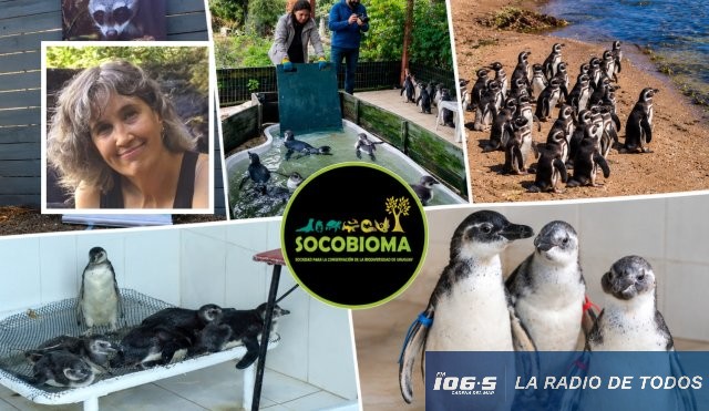 SOCOBIOMA