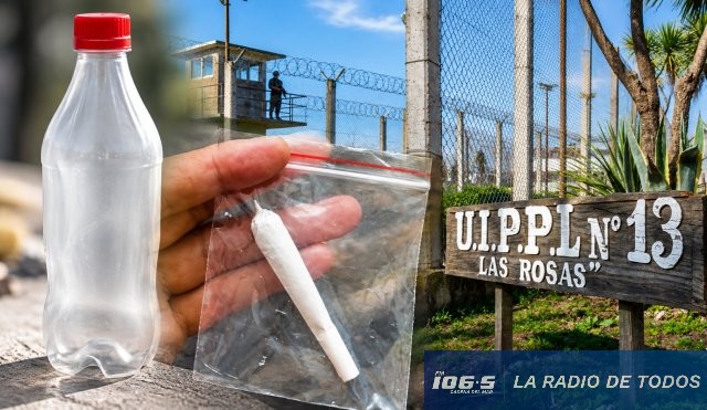 Las Rosas Penitenciaria Drogas 