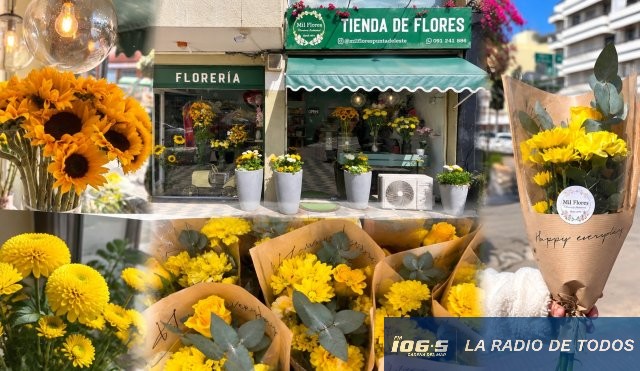 Flores Amarillas PDE