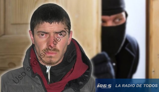 Arresto ciudadano