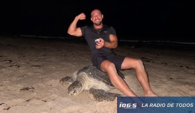 Tortuga Marina Influencer 