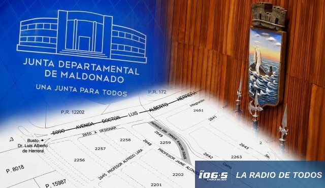 nueva calle