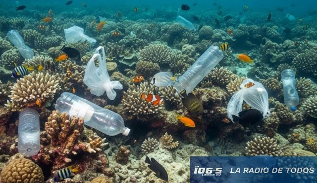 Alerta ambiental (Océanos): descubren plástico fusionado con restos de coral.