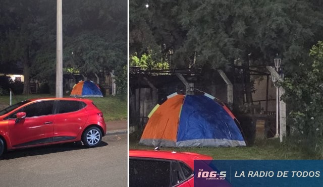 carpa