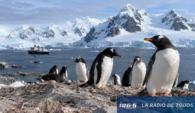 Contar pingüinos 