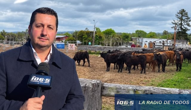 Diego Echeverría ganaderia