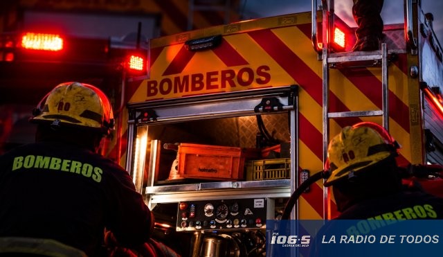 bonbero