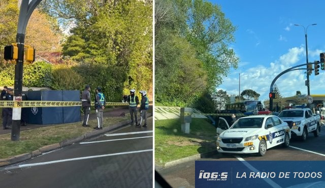 Maldonado: hallan a un hombre de 88 años fallecido en la vía pública.